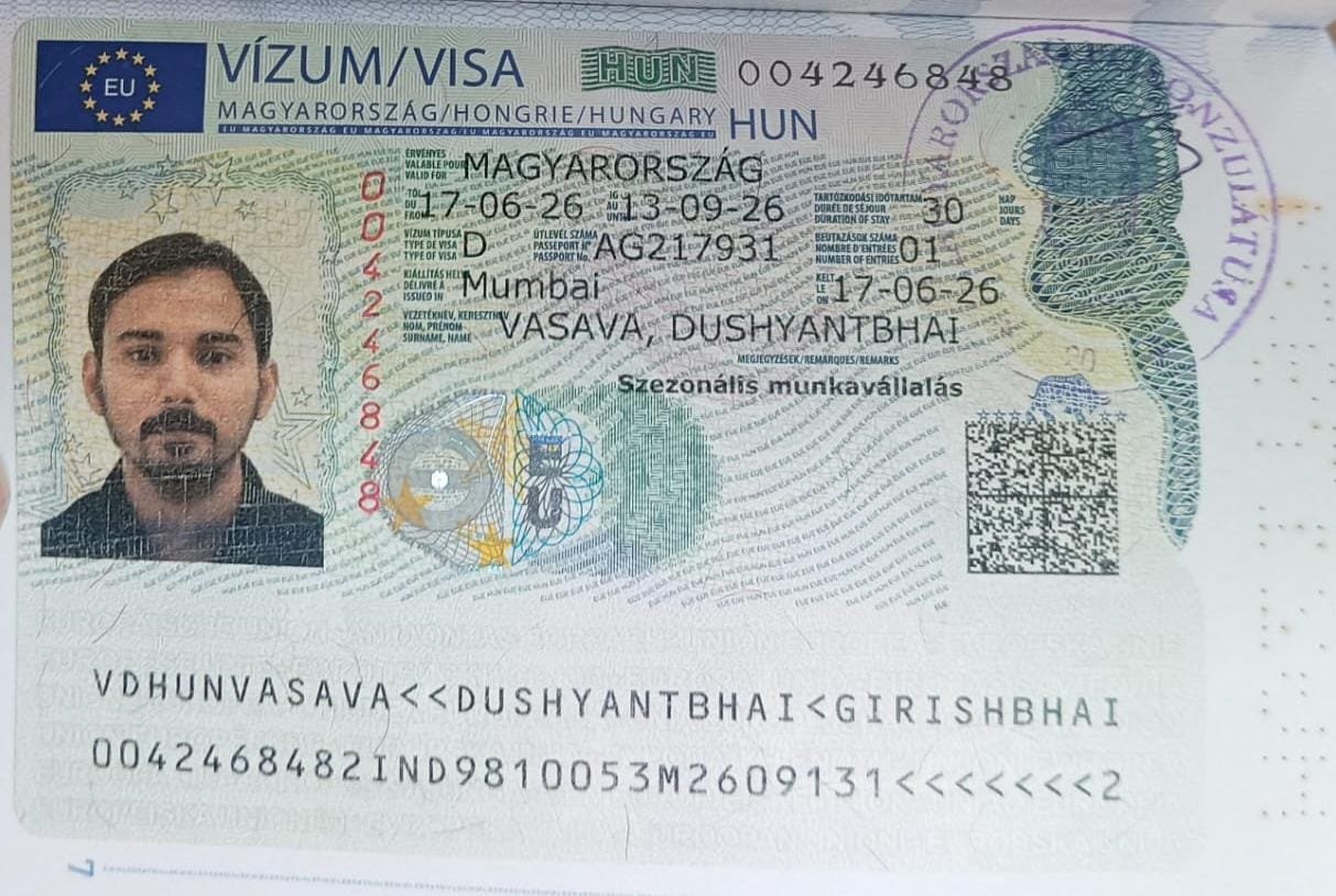 Visa Success Card