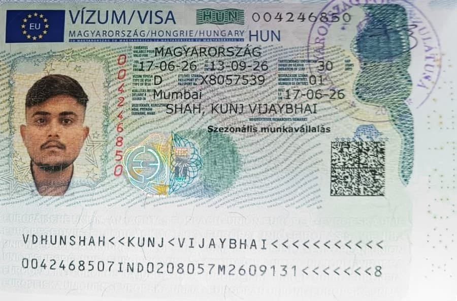 Visa Success Card