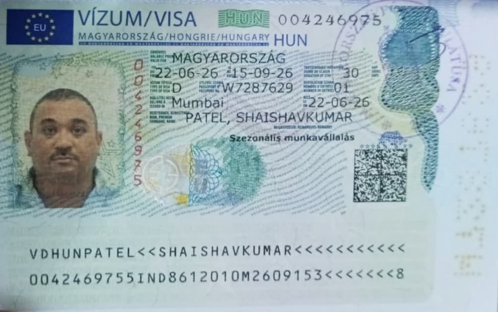 Visa Success Card