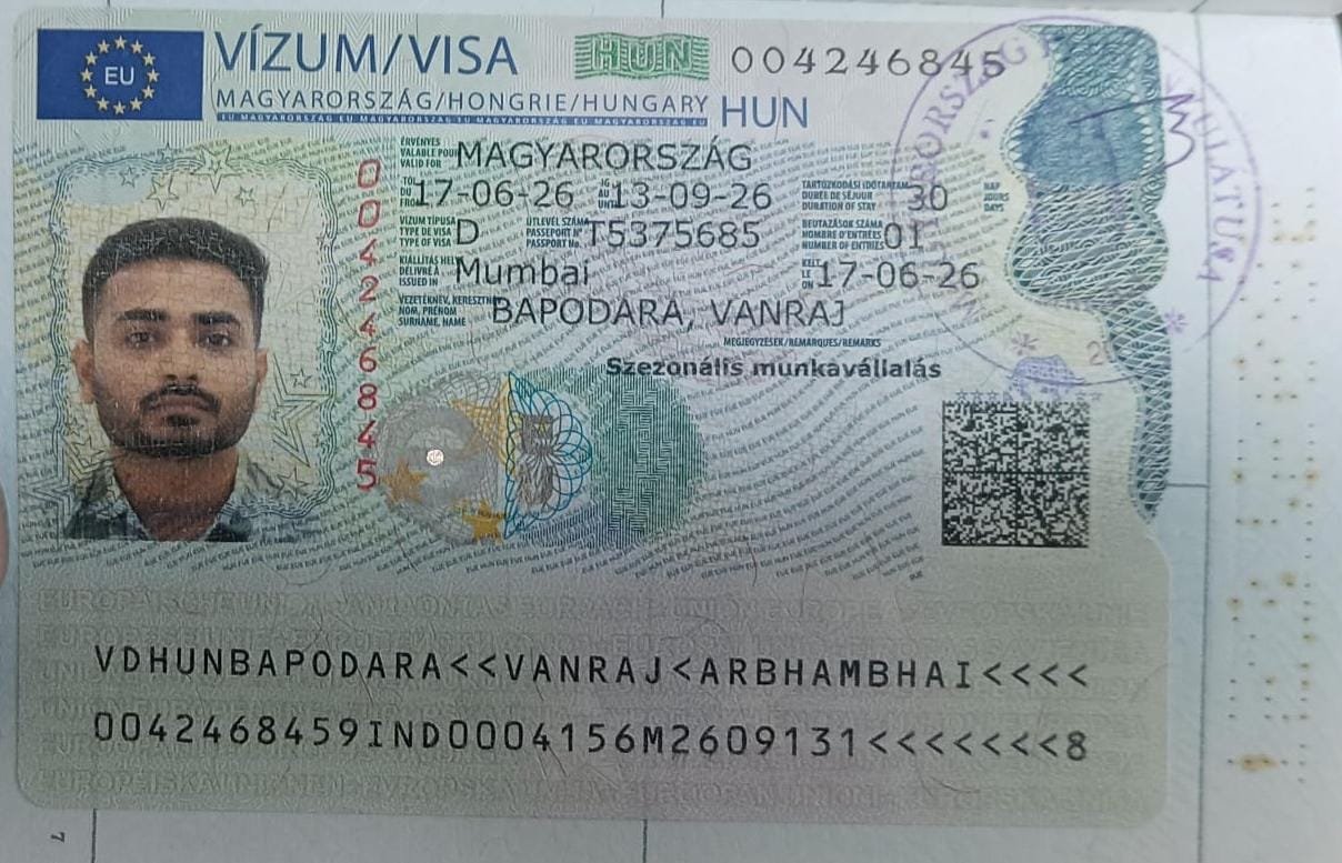 Visa Success Card