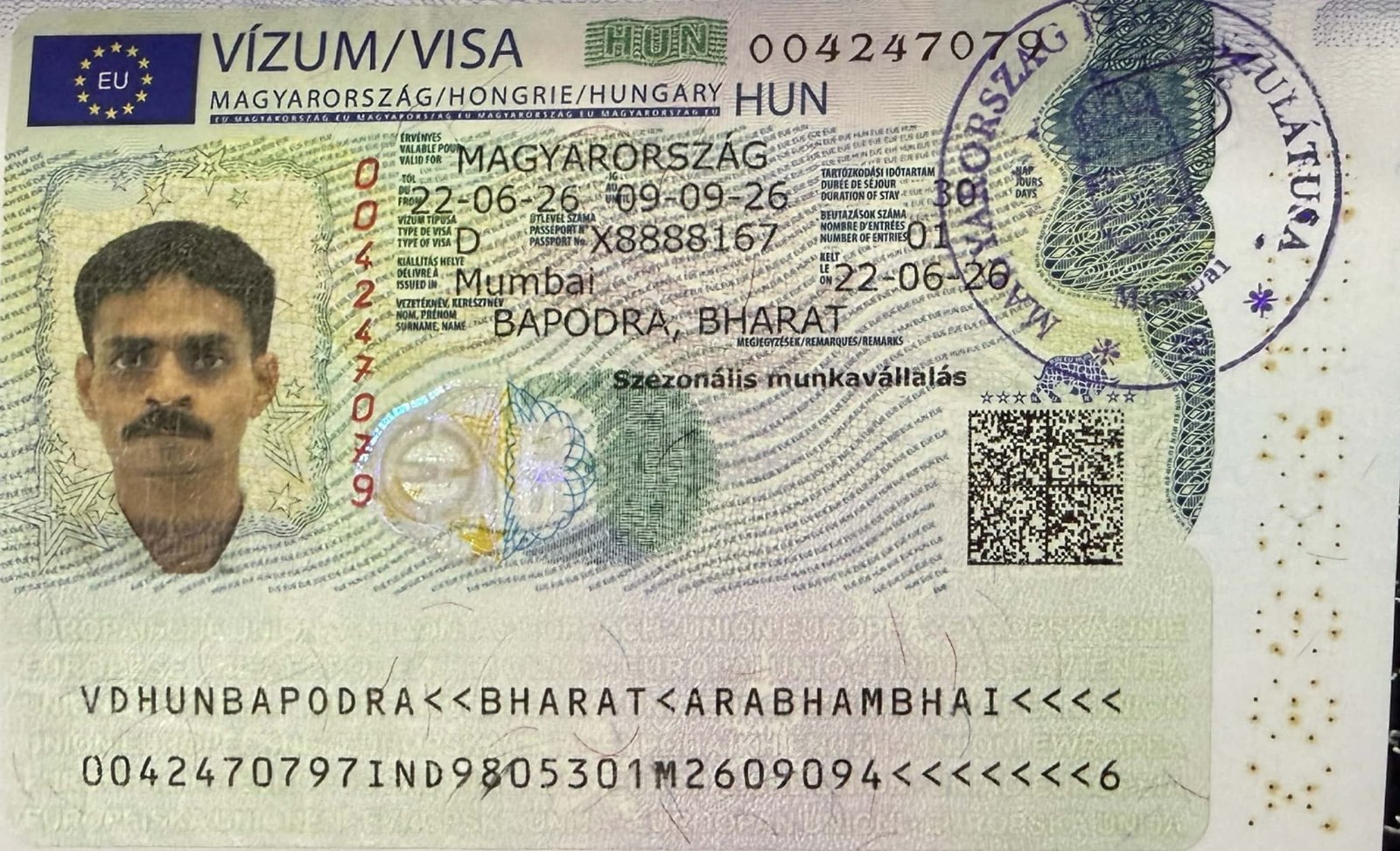 Visa Success Card